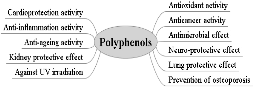 Other functions of Apple Extract Polyphenols Other functions of Apple Extract Polyphenols