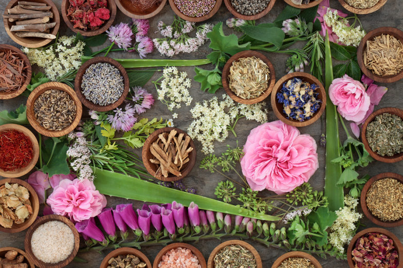 3 Health Benefits of Muira Puama + Side Effects SelfDecode Supplements