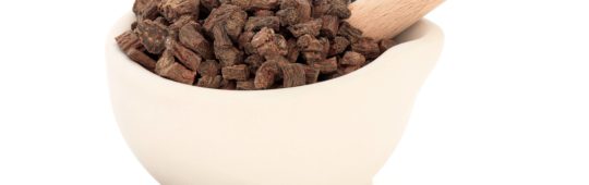 salvia miltiorrhiza root